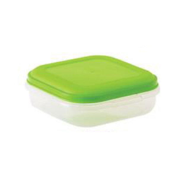 Foodsaver Container - 800ml- Pack Of 3