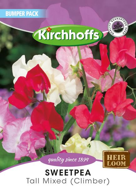 Kirchhoffs Sweetpea Mammoth Tall Mixed (climber) Large Bumper Pack