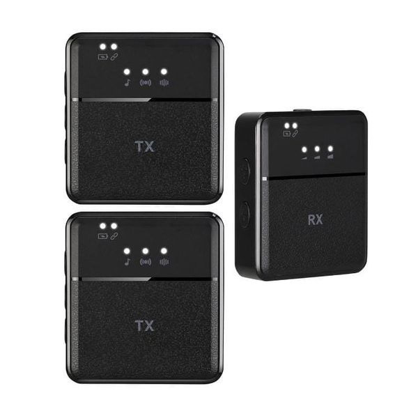 Professional Wireless Dual Microphone - Type C