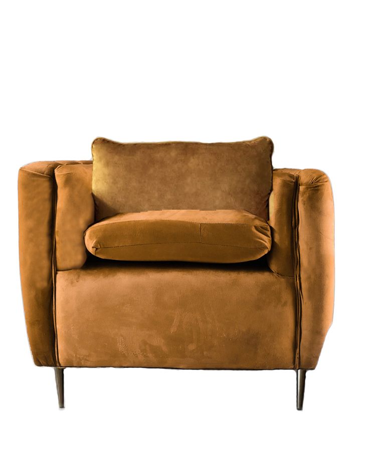 MoetiKambissi Velvet Accent Chair with Arms for Living Room Modern