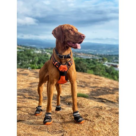 M-Pets Hiking Dog Shoes - Size 2 (Extra Small to Small), Shop Today. Get  it Tomorrow!