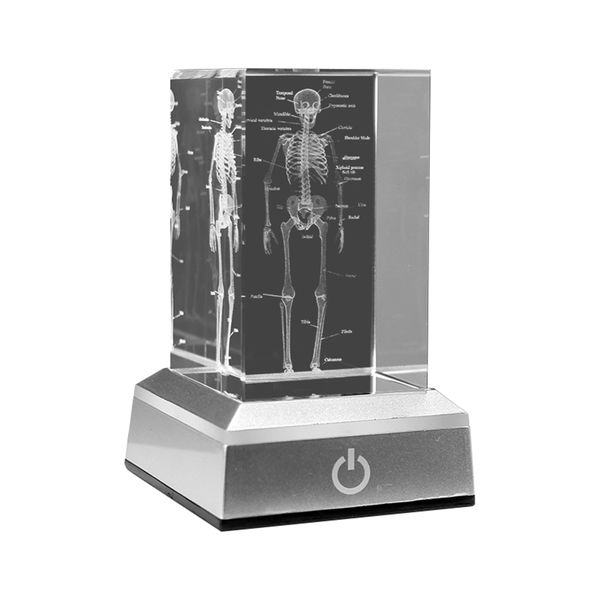 3D Laser Engraved Human Skeletal Crystal Cube Figurines B