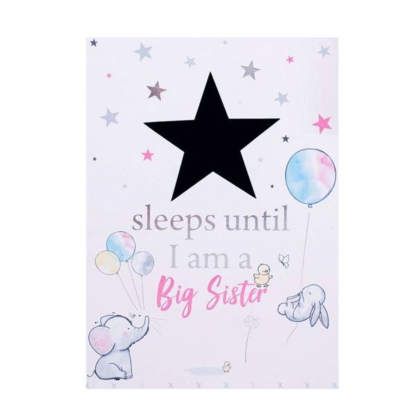 Novelty Countdown to Baby Plaque - Big Sister