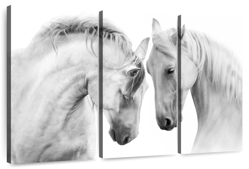 Canvas Art - White Horse Couple 3 Piece Canvas Wall Art Living Bedroom Deco