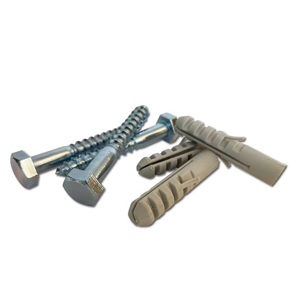 Ifasten Coach Screw M10x75mm &amp; Wall Plug Grey - 5 Pack