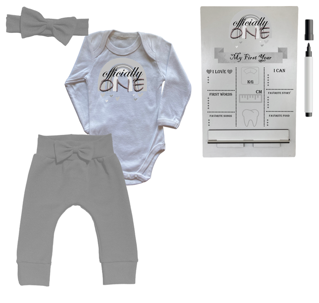 First Birthday Outfit-Long Sleeve &amp; Milestone sign-Rainbow Pink