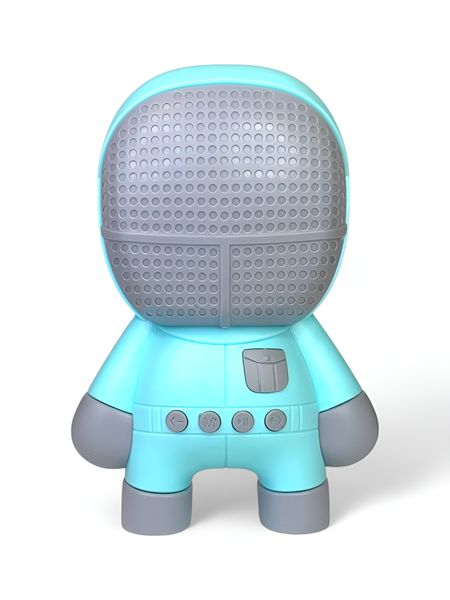 Wireless Mini Speaker with FM, Bluetooth, USB/TF Play and Bass Boost