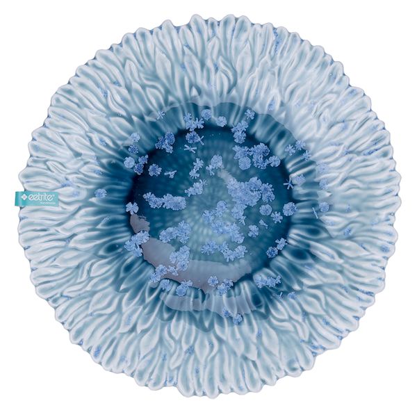 Eetrite Serving Dish Flower Design