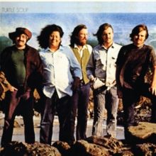 Turtle Soup (Vinyl / 12" Album (Gatefold Cover)) image