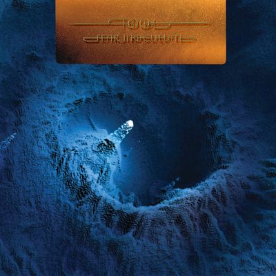 Fear Inoculum (Vinyl / 12" Album Box Set)