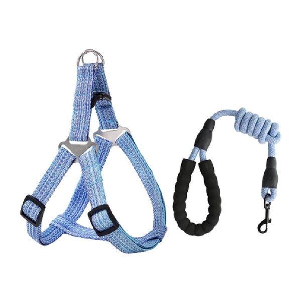 Medium 2 in 1 Dog Harness Set
