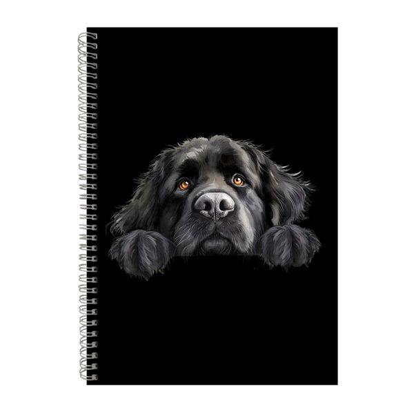 Newfoundland A4 Notebook Spiral Lined Notepad Dog Idea 335