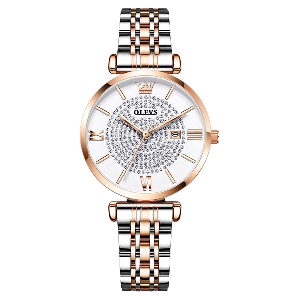 Watches for Women Luminous Resistant Stainless Steel Strap Women Watch