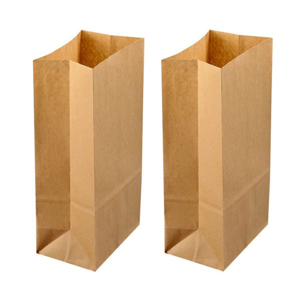 Brown Paper Bags - 100 Piece Pack
