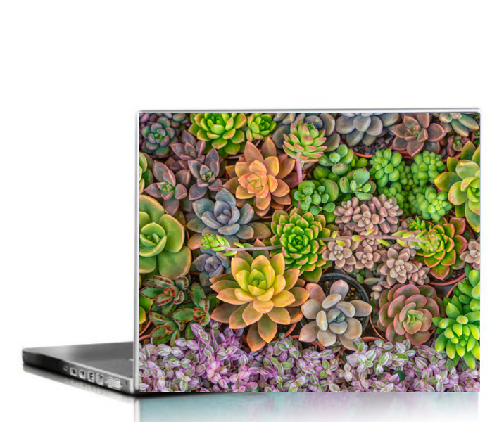 Durable Laptop Skin/Vinyl Succulent Groups- Customizable &amp; Easy to Apply