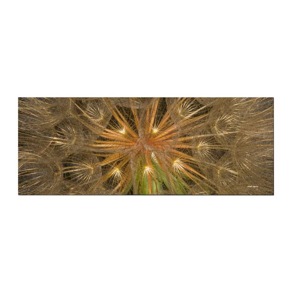 Dandelion Close Up Desk Pad By Annette Heymans image
