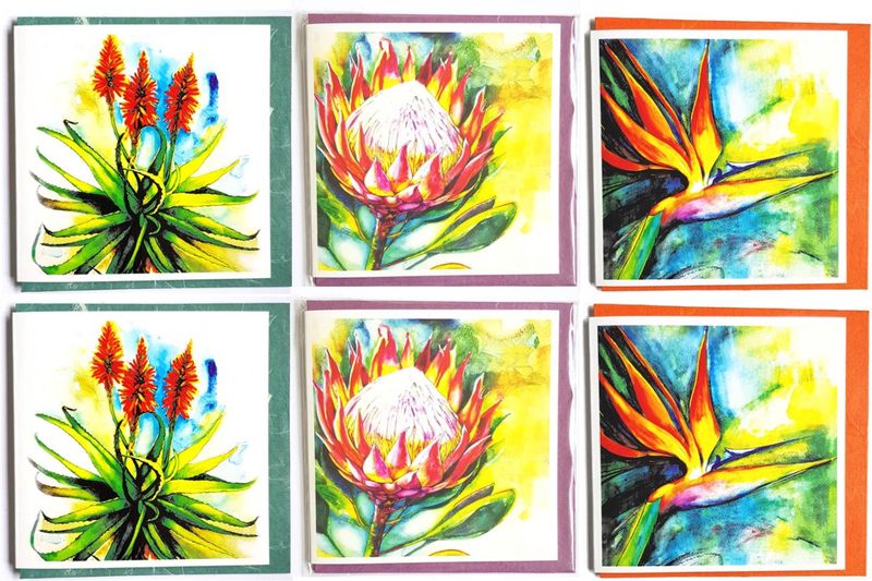 African Flower Blank Square Greeting Card - Pack A (set of 6)