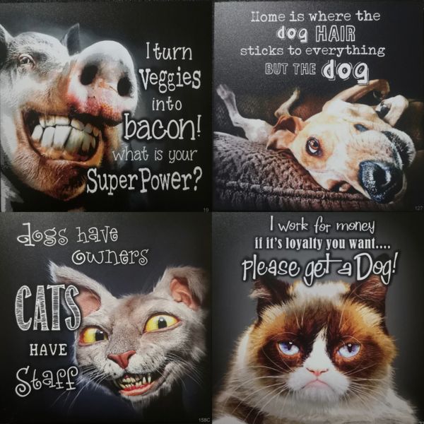 Unique Animal Motivational-Sayings~Wall Art Collection-Set Of 4