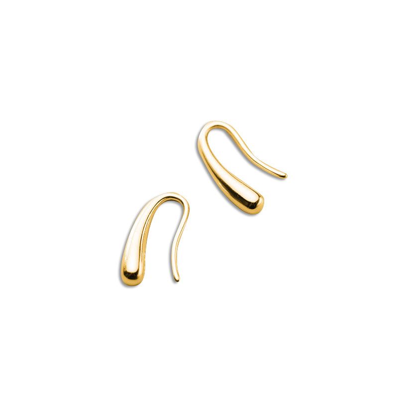 Stunning Glossy Drop Earrings | Shop Today. Get it Tomorrow! | takealot.com