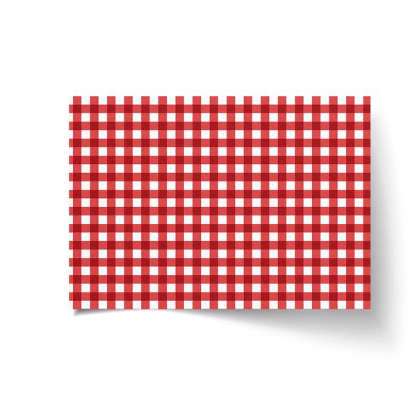 A3 Disposable Paper Placemat Set - Classic Gingham Red