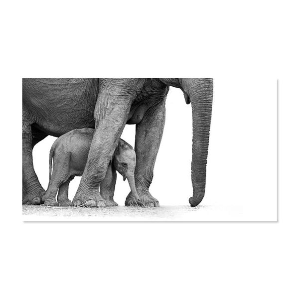 Canvas Wall Art - Landscape Elephants - 119cm x 84cm