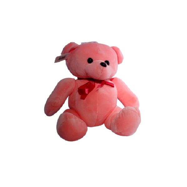 teddy bear takealot