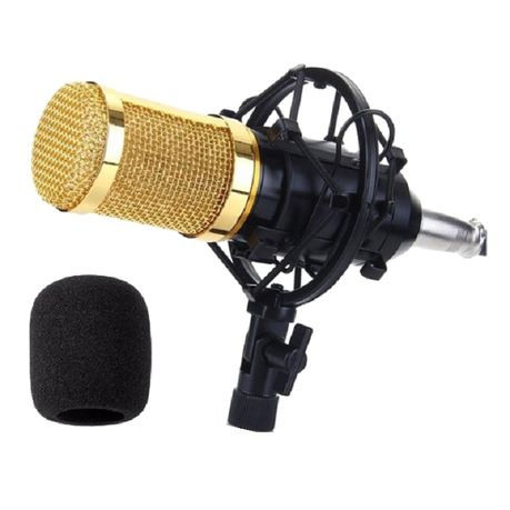 Professional Condenser Studio Microphone ST-225 | Buy Online in South  Africa 