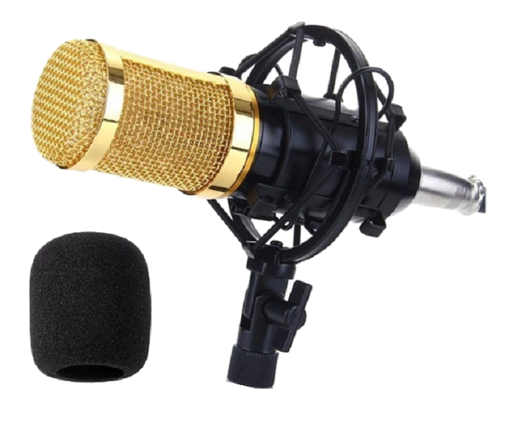 Professional Condenser Studio Microphone ST225 Shop Today. Get it