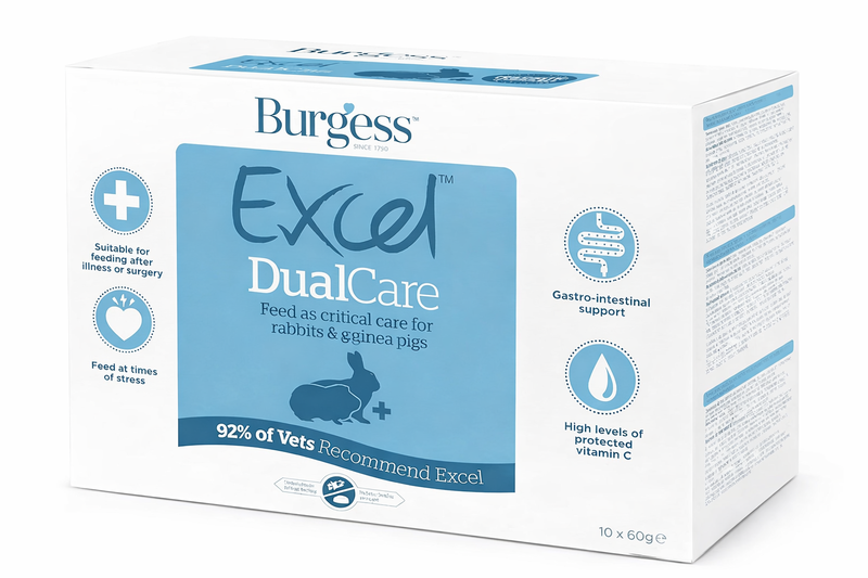 Excel Dual Care 10x60g