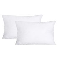 Pappa Joe Throw Pillow Inner 50x30 Shop Today. Get it Tomorrow takealot