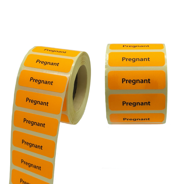 Pregnant Warning Labels ( 3 x 1000 units per roll)