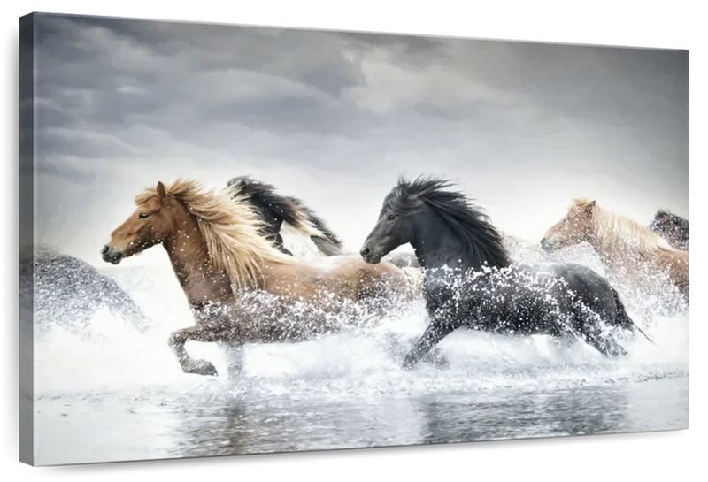 Canvas Art - Sea Horse Run Canvas Wall Art Decor