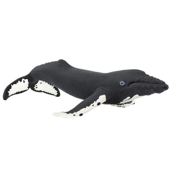 Safari Ltd - Humpback Whale