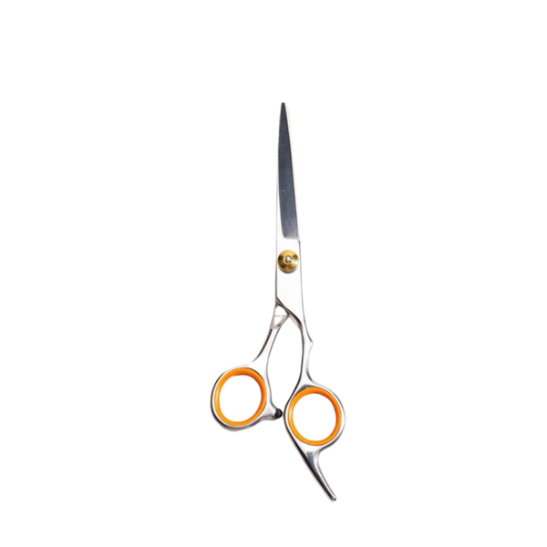 Hair Scissors
