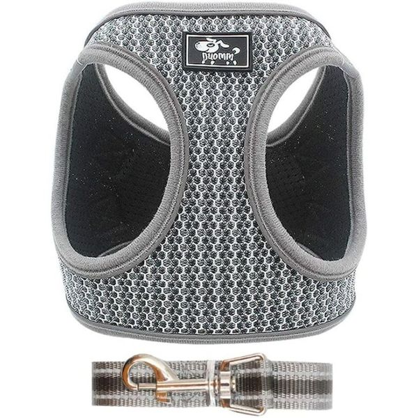 Harness Vest &amp; Leash for Small to Medium Dog - Grey + McDog (TM) Key Ring