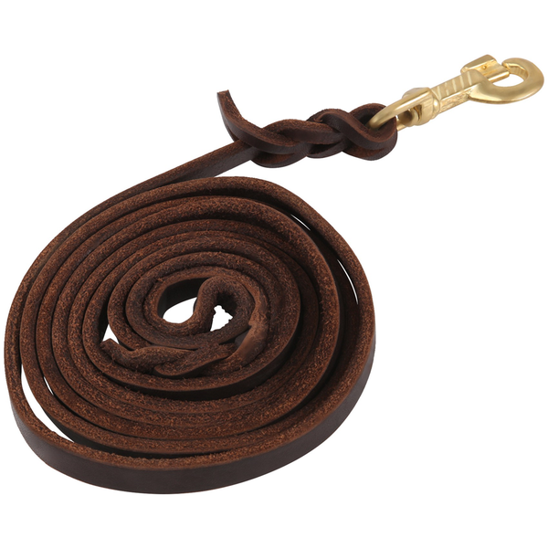 2M Leather Braided Pet Dog Walk Traction Collar Strap Training Leash