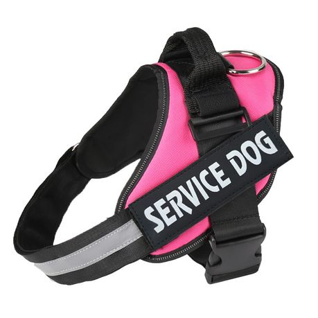 pink dog harness and lead