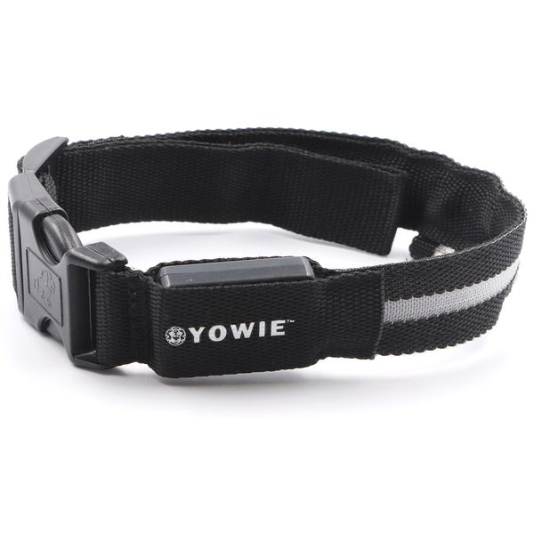 Yowie – LED Light-Up Dog Collar - Rechargeable night and safety collar