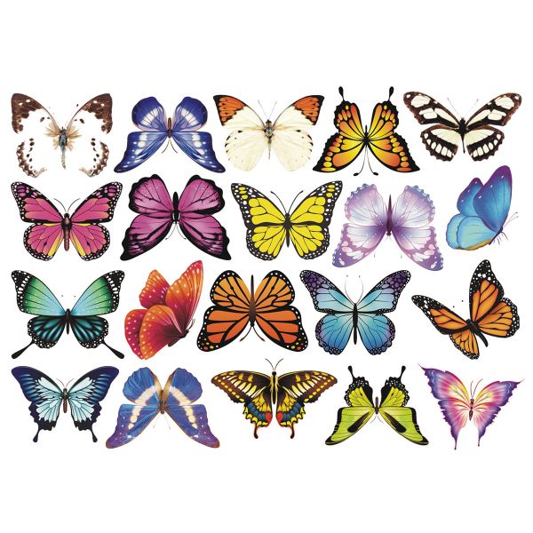 MeiView Window Decals (Not Stickers) - Butterfly Decal (Set 3)