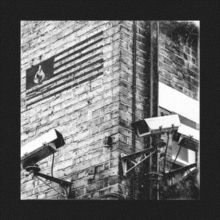 Line in the Sand (Vinyl / 12" Album)