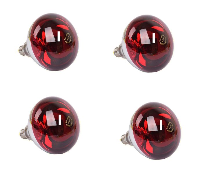 Heat Light 250 watts -pack of 4