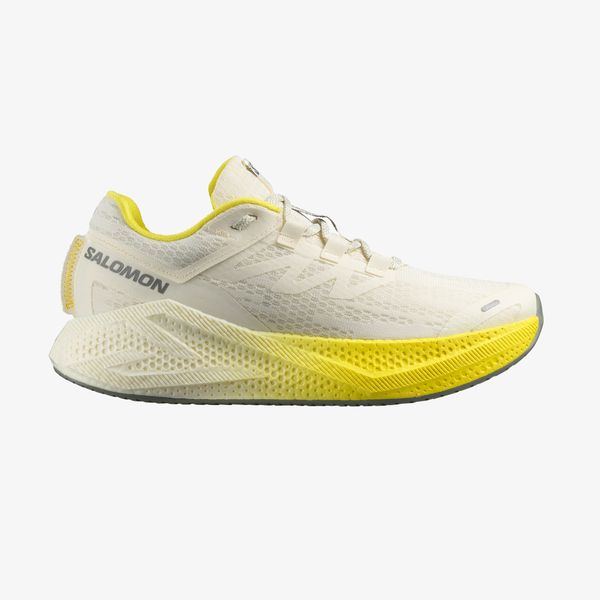 Salomon Men Aero Glide 3 Running Shoe