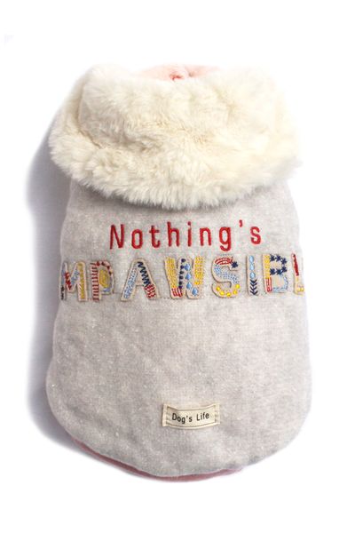 The Impawsible Cape Grey