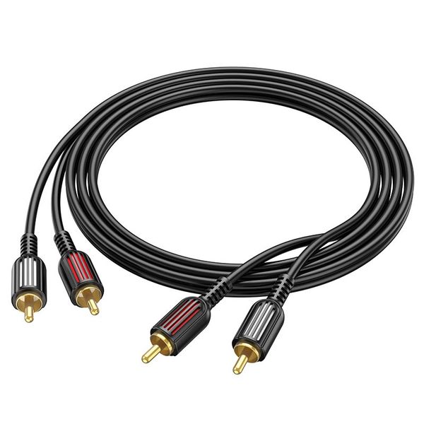 Bl13 image