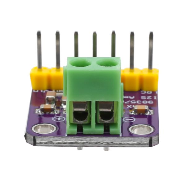 I2S Class D Amplifier Filterless Audio Board For Raspberry Pi Esp32