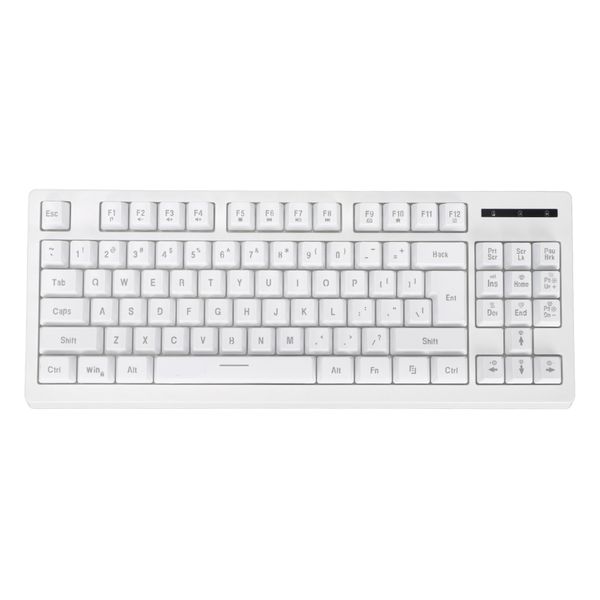 87 Keys Wireless Keyboard 2.4G RGB Backlit for PC White