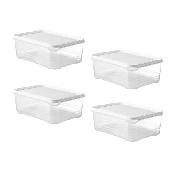 Refrigerator Storage Containers with Lids for Meat Vegetables Fruits - 4 Piece