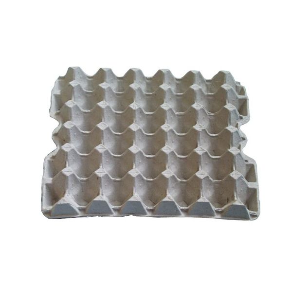 Egg Holder 75/Bundle Nr17 2 1/2Doz