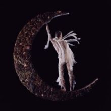 Believer (Vinyl / 12" Album)