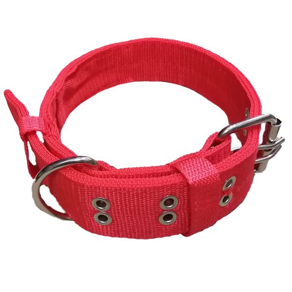 Heavy Duty Nylon Adjustable Dog Collar For Large Dogs